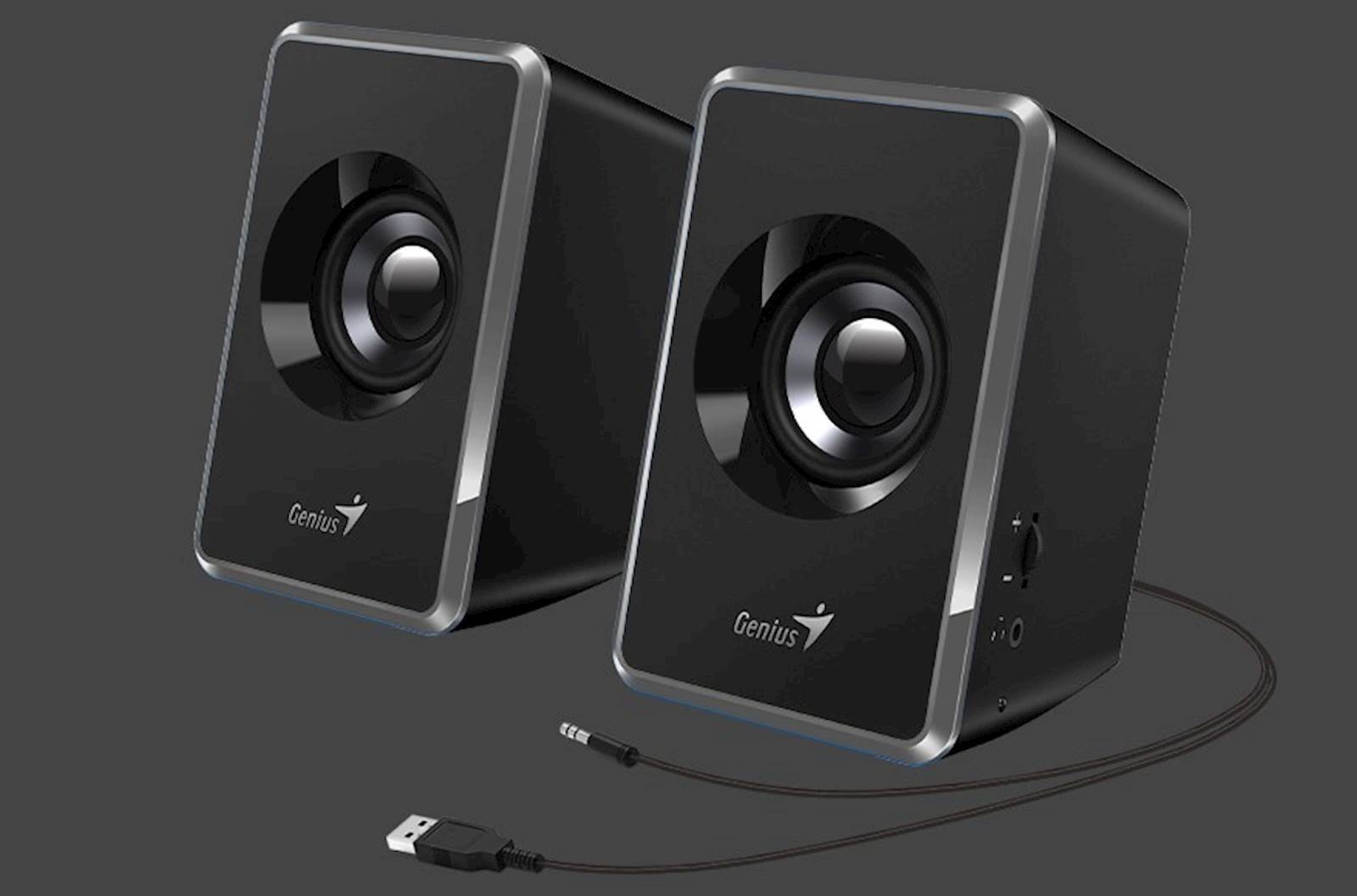 PARLANTES AUDIO PLUG ALIM USB SP-U125 2.0 3W GRIS GENIUS 
31730042403